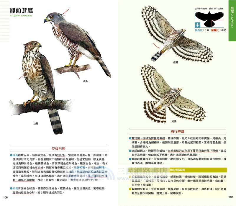 猛禽觀察圖鑑 全新增訂版 A Field Guide To The Raptors Of Taiwan 三民網路書店