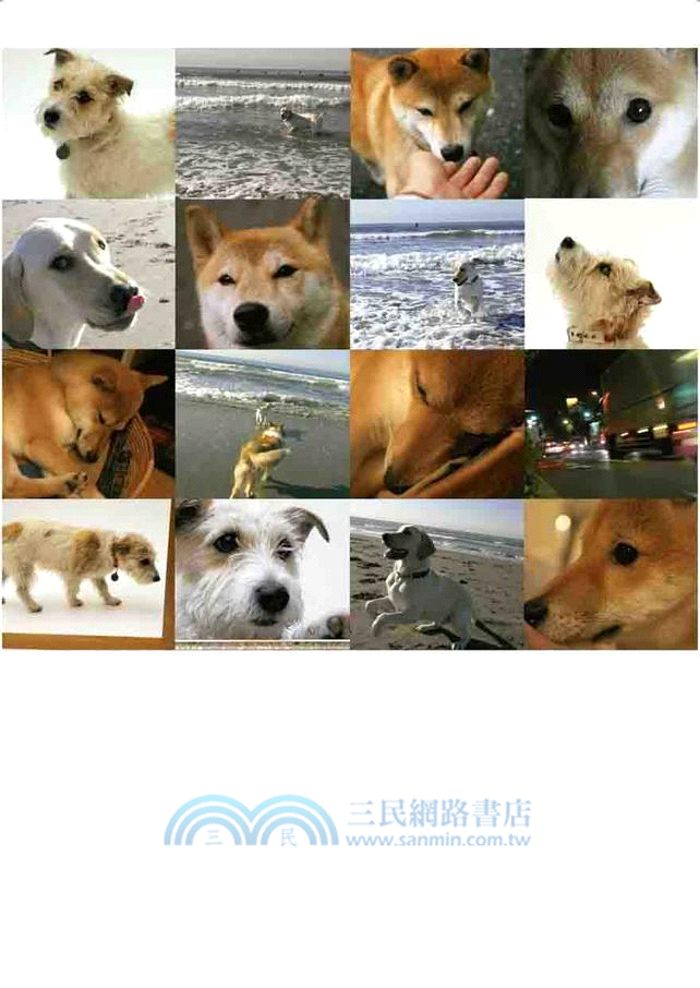 狗狗，有你真好