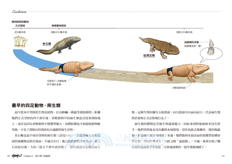 超獵奇 人體動物圖鑑02 鯊魚的下巴會往前飛出 三民網路書店