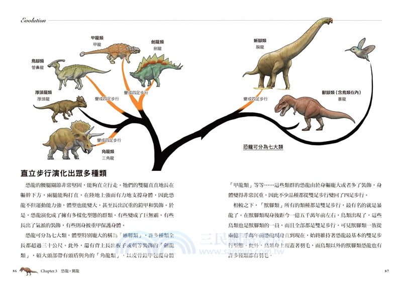 超獵奇 人體動物圖鑑02 鯊魚的下巴會往前飛出 三民網路書店 超獵奇 人體動物圖鑑02 鯊魚的下巴會往前飛出 三民網路書店