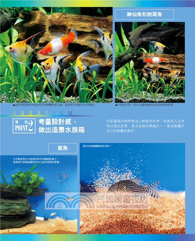 熱帶魚與水草的飼育法 暢銷版 三民網路書店