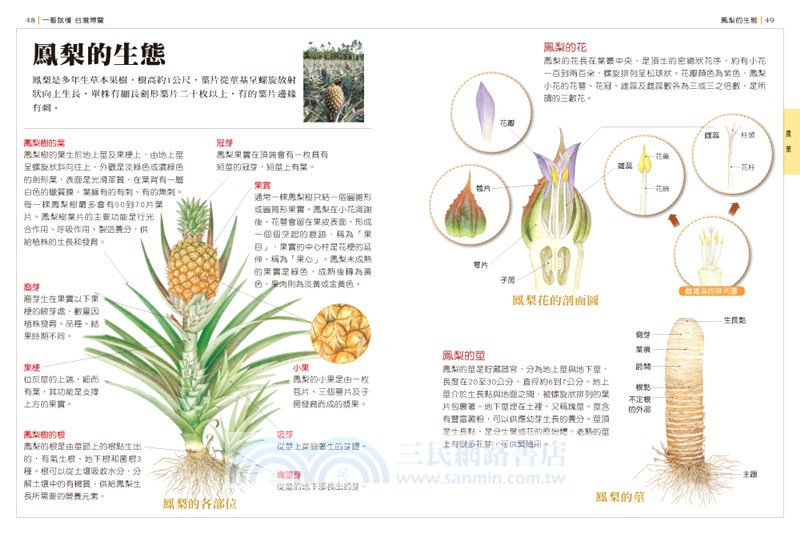 一看就懂台灣博覽 新裝珍藏版 三民網路書店