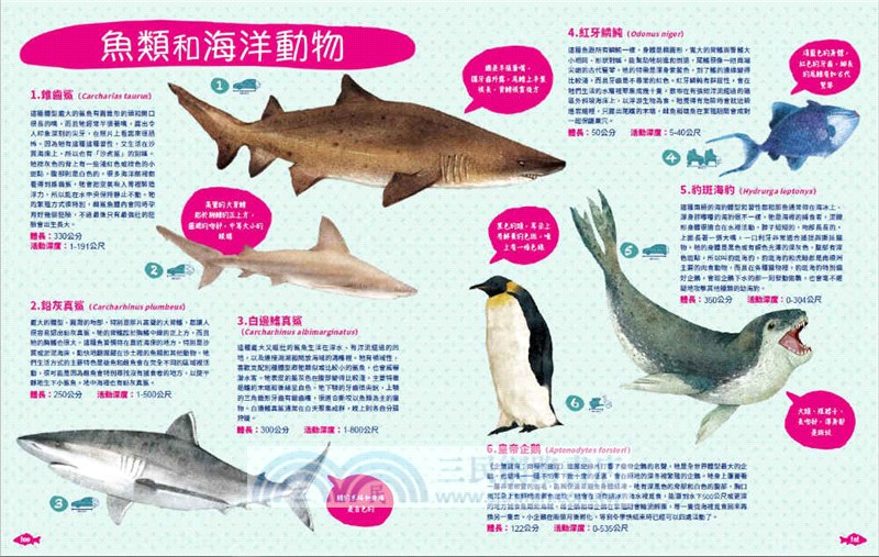 世界上有哪些魚 魚類 海洋動物與牠們生活的大海 加贈首批限量圖鑑海報 三民網路書店