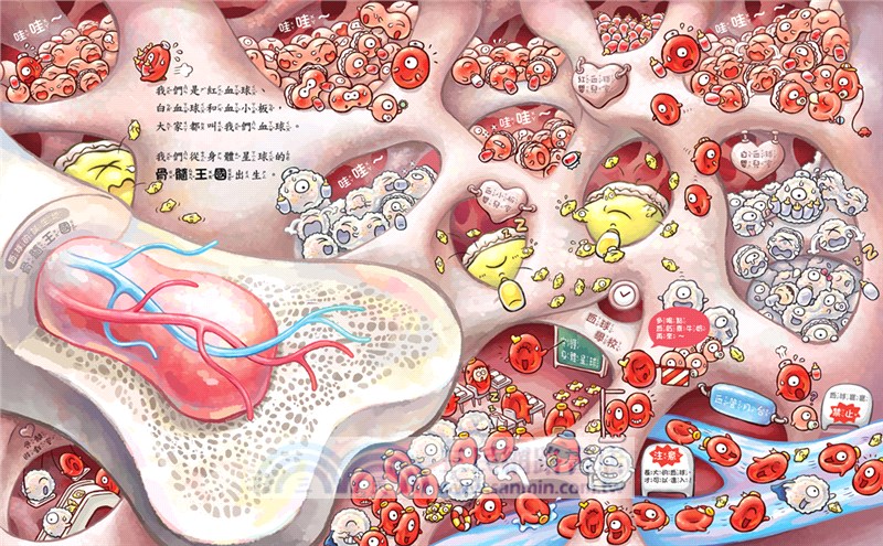 血液的身體大冒險：心臟噗通噗通