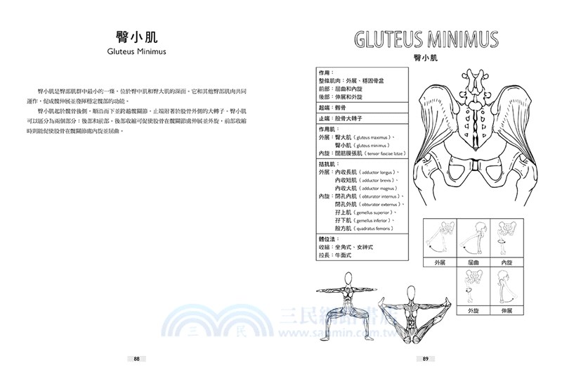 瑜伽解剖著色學習手冊 學習人體組織的醫學知識 用色鉛筆畫出正確的瑜伽動作 附12色彩色鉛筆 三民網路書店