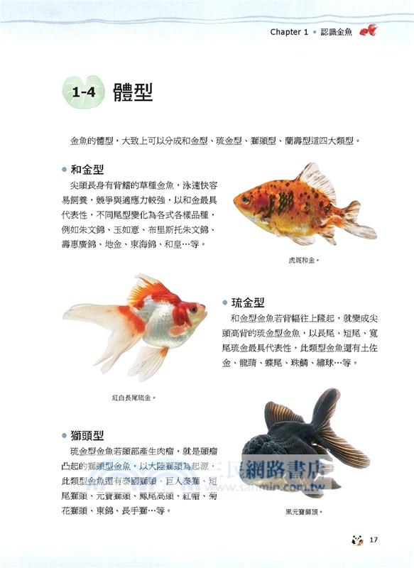 金魚事典 從認識 飼養到觀賞 寵物金魚的綺麗圖鑑 三民網路書店
