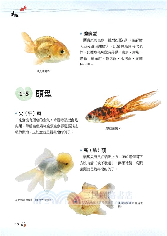 金魚事典 從認識 飼養到觀賞 寵物金魚的綺麗圖鑑 三民網路書店