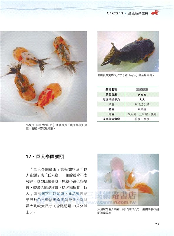 金魚事典 從認識 飼養到觀賞 寵物金魚的綺麗圖鑑 三民網路書店