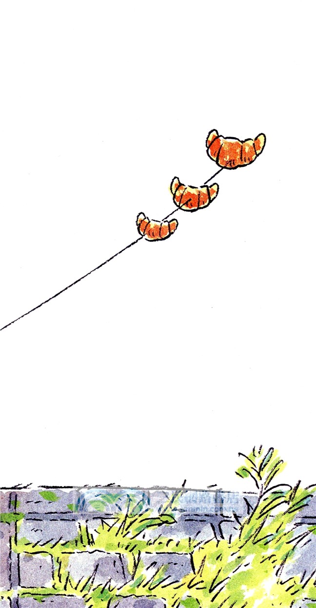 草日漫畫：貓貓不吃空心包