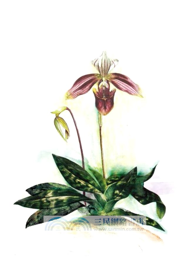 尋花 2：香港原生植物手札