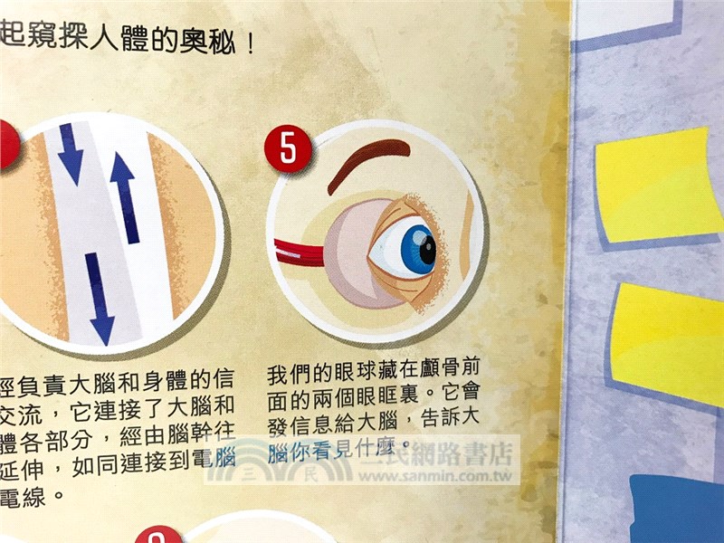 神奇手電筒書：人體大透視