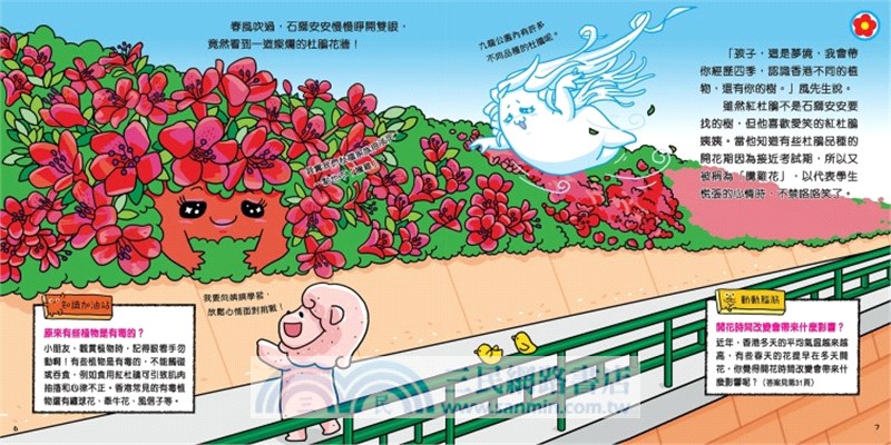 石獅安安愛遊歷4：奇妙的尋樹之旅：認識香港不同的植物