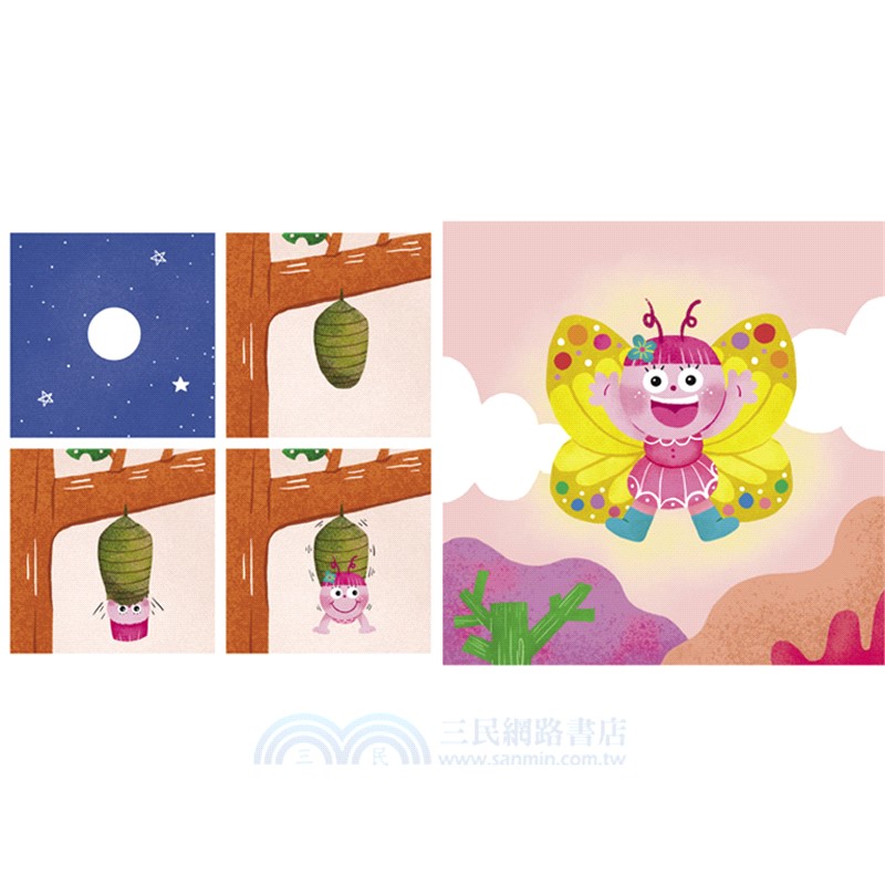 蝴蝶莉莉的完美旅程