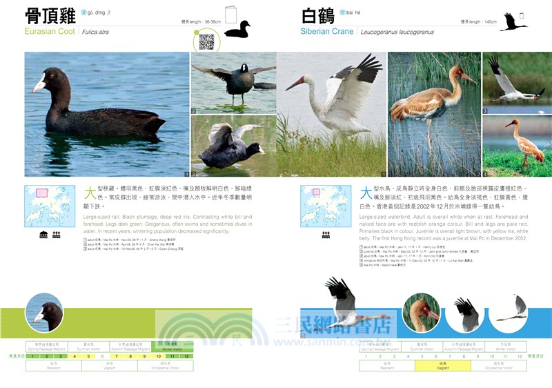 觀鳥系列01：香港觀鳥全圖鑑