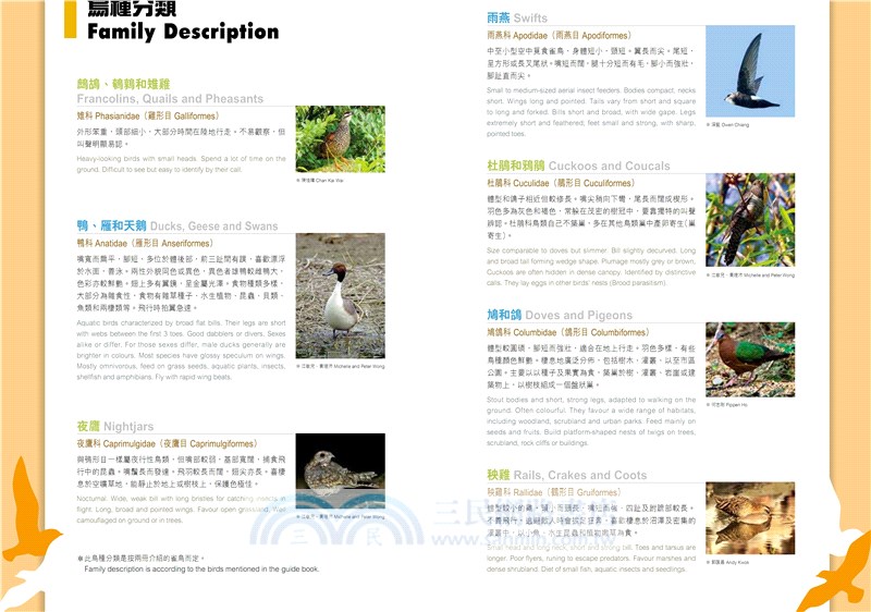 觀鳥系列02：香港觀鳥全圖鑑