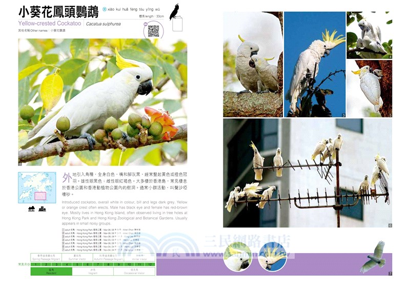 觀鳥系列02：香港觀鳥全圖鑑