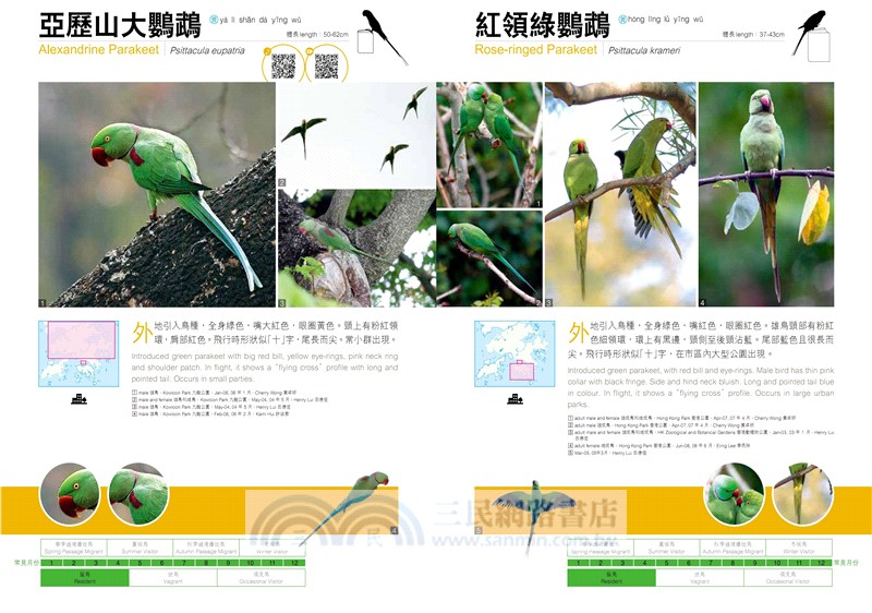 觀鳥系列02：香港觀鳥全圖鑑