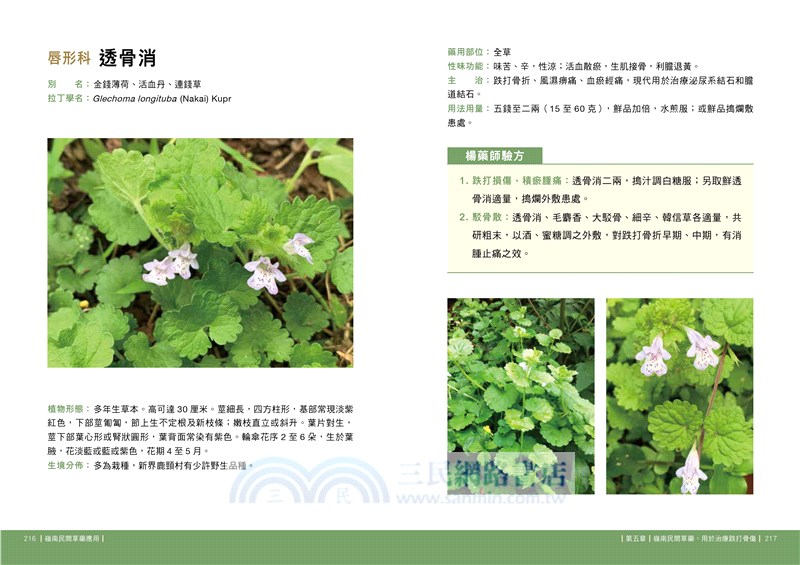 嶺南民間草藥應用