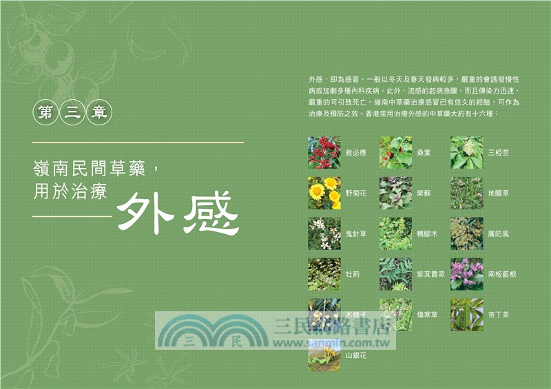 嶺南民間草藥應用