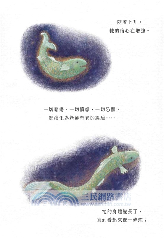 小魚