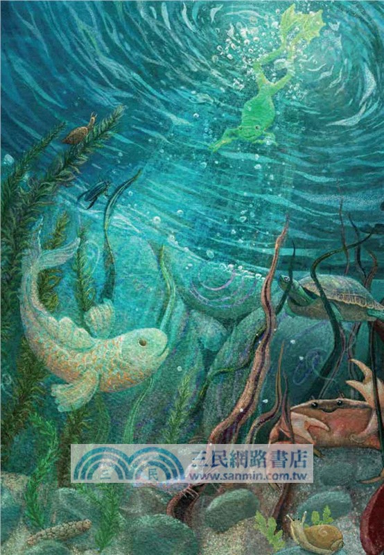 小魚