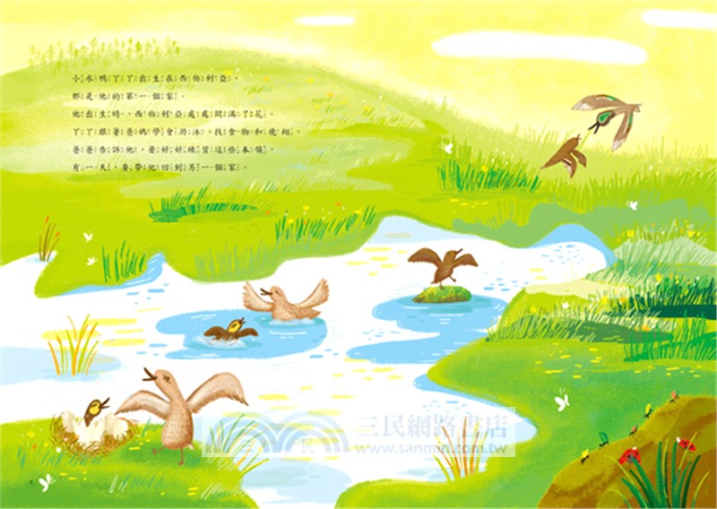 小水鴨，兩個家