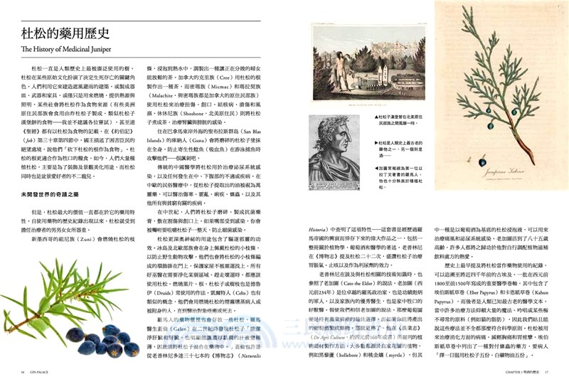 琴酒天堂Gin Palace：好奇調酒師系列The Curious Bartender's