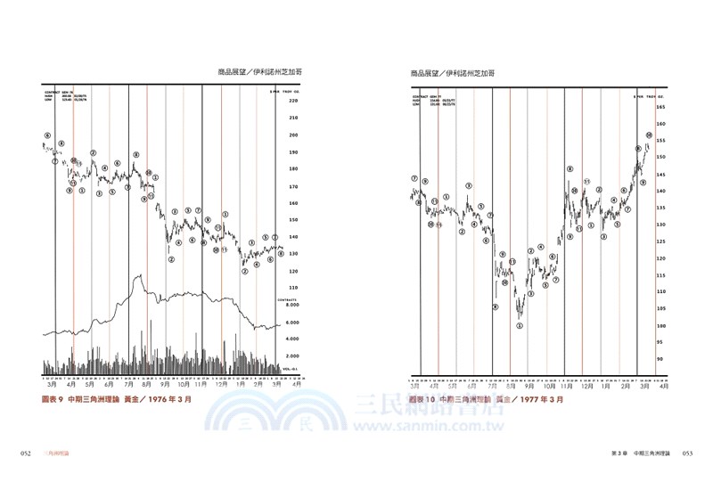 三角洲理論：技術分析大師威爾斯．威爾德的顛峰之作