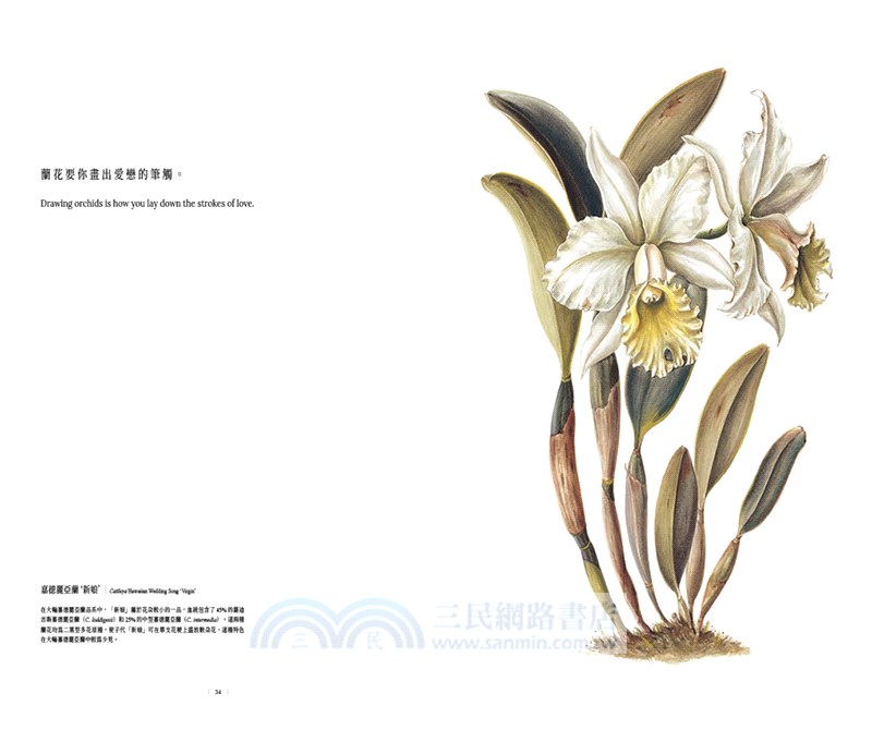 蘭花絮語Whisper of the Orchids：臺灣第一本水彩古典蘭花畫