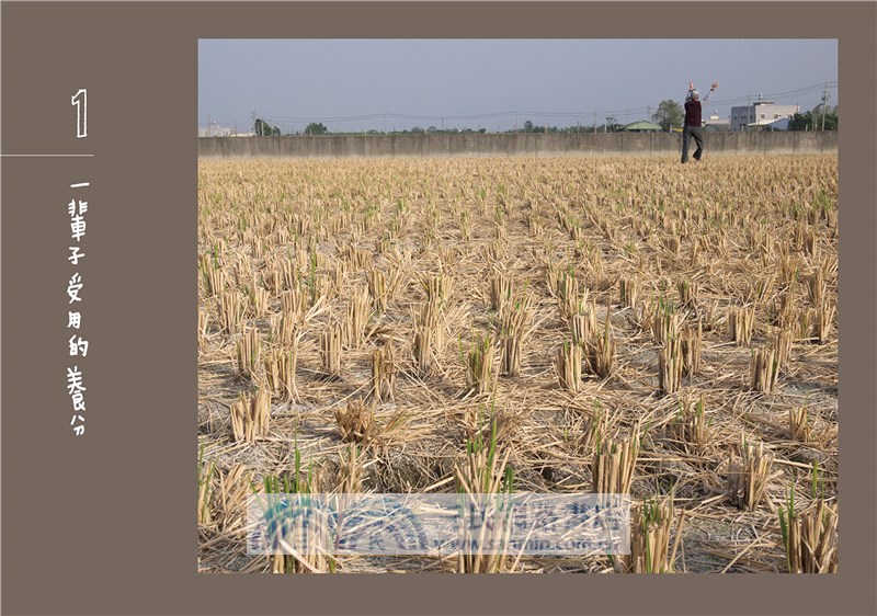 心中住著野孩子