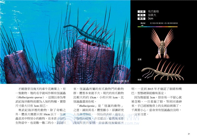 真實尺寸的古生物圖鑑：古生代篇