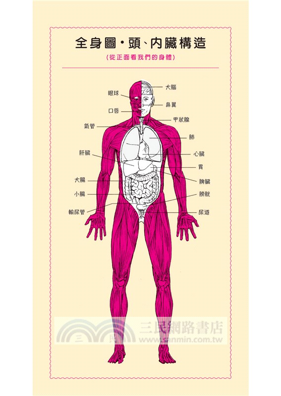 了不起的人體：如此精妙，如此有趣，說不定還能救你一命