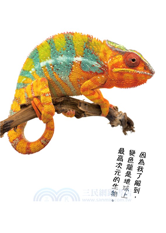 喚醒松果體：向變色龍學習，自由化身為理想的自己