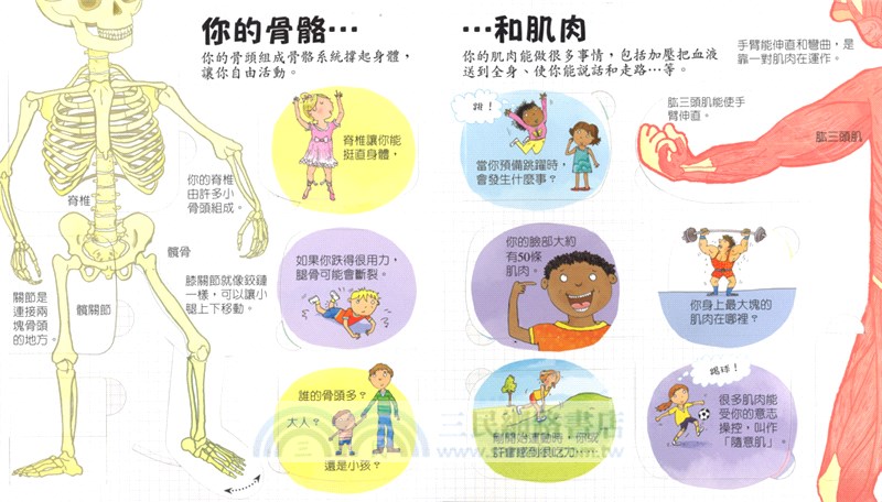 探索奇妙的身體