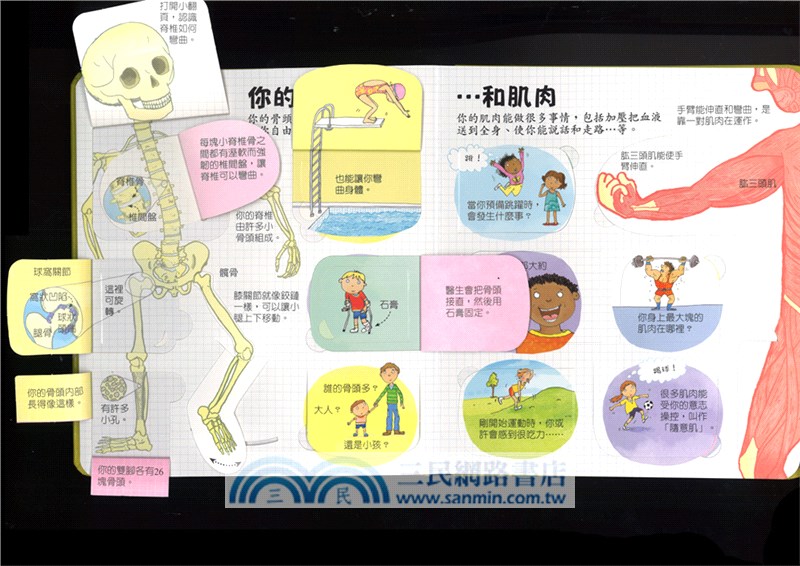 探索奇妙的身體