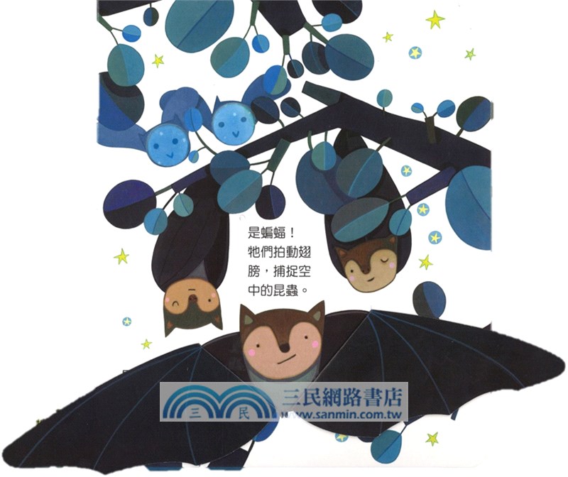 偷偷看一下：有趣的夜晚