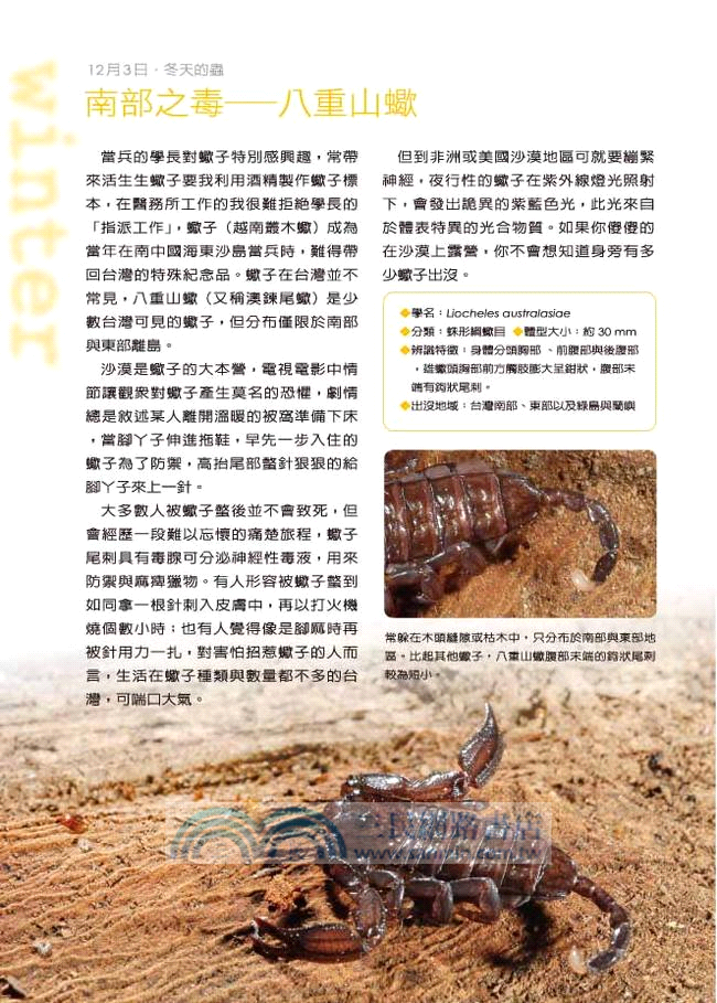 賞蟲365天（秋冬篇）