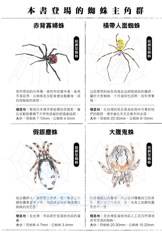 蜘蛛的腳裡有大腦 揭開蜘蛛的祕密宇宙 從牠們的行為 習性與趣聞 看那些蜘蛛能教我們的事 三民網路書店
