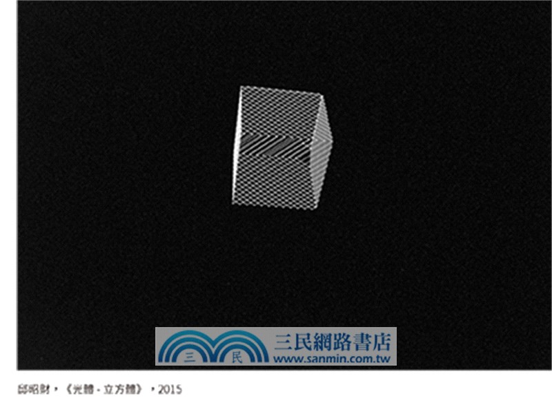 孤島問題：一個台灣藝評人的田野