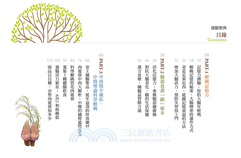 養腦聖典：護腦珍品管花肉蓯蓉全面解密，延緩衰老，養腦要趁早