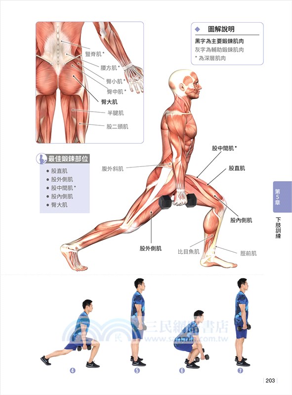 重訓入門＋教學影完全手冊：140 種徒手與器械訓練肌肉解剖圖解，132 支真人示範影片掃碼就能學習