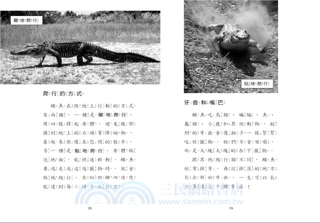神奇樹屋小百科18：蛇與爬行類
