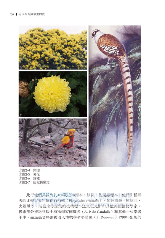 近代西方識華生物史