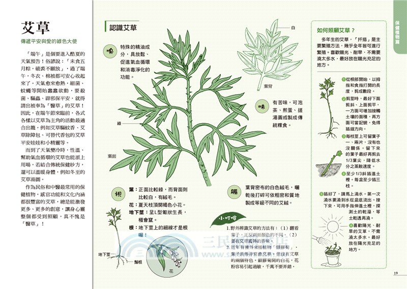 綠生活療癒手冊：100則園藝治療心處方