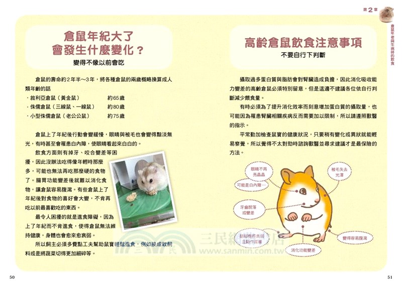 倉鼠的飲食＆營養指南