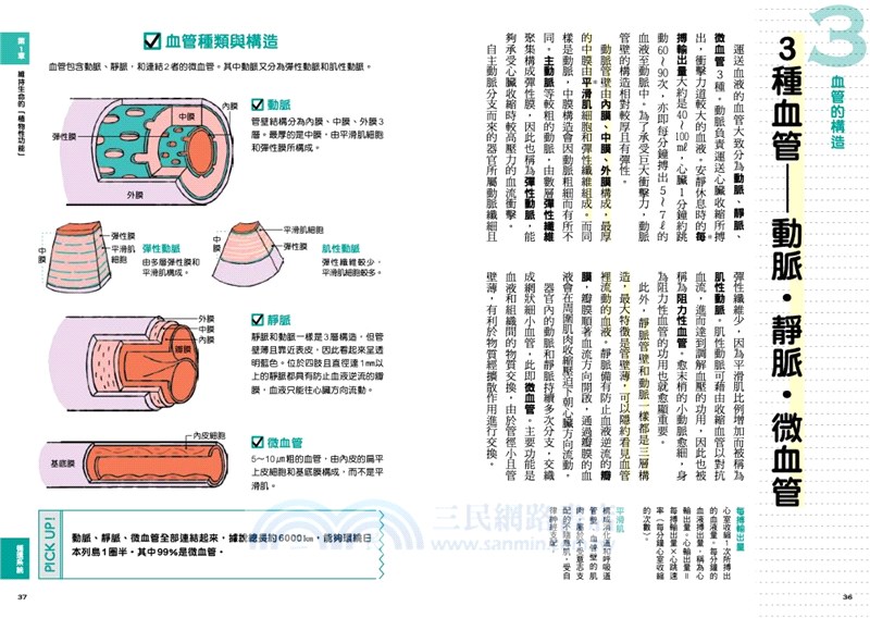 看漫畫學解剖生理學