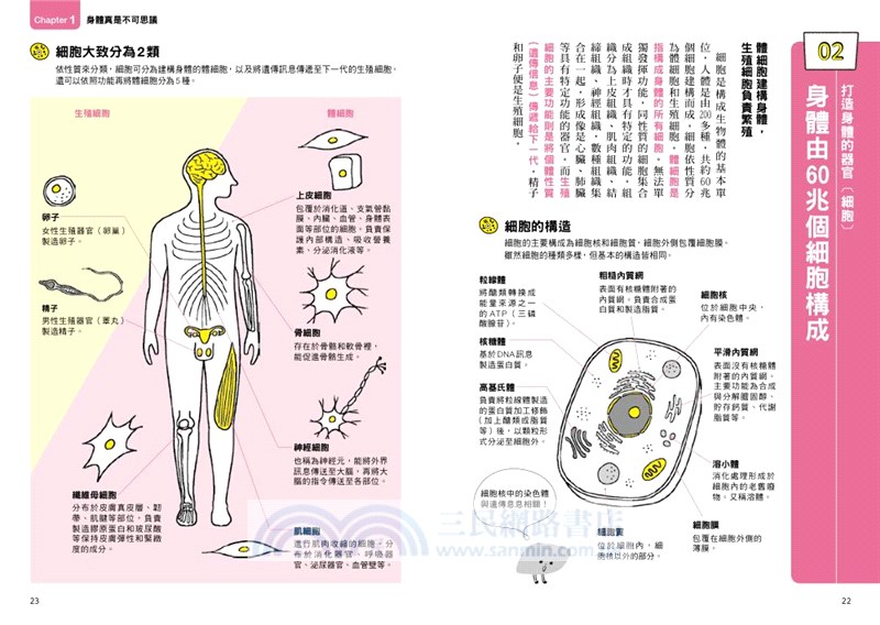 健身、減重必讀人體操作手冊：超・基礎人體學