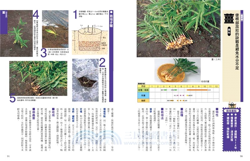 新手種菜100招 自己種出70種家常菜 三民網路書店