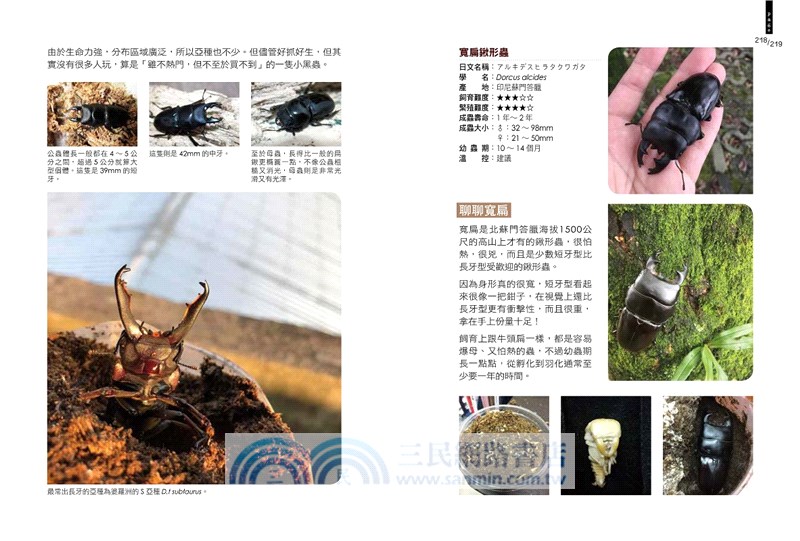 甲蟲超人超圖解