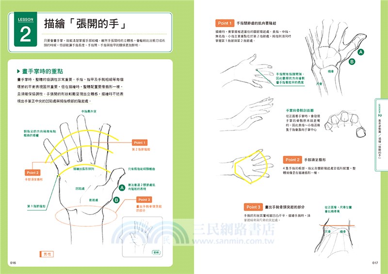 手的繪製訣竅 動畫導演 神志那弘志的人體部位插畫講座 三民網路書店